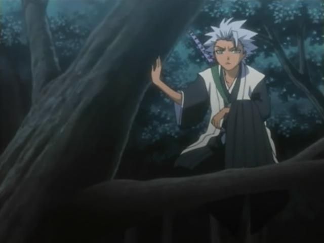 Otaku Gallery  / Anime e Manga / Bleach / Screen Shots / Episodi / 097 - Hitsugaya si muove - Taglia il nemico nella foresta / 156.jpg